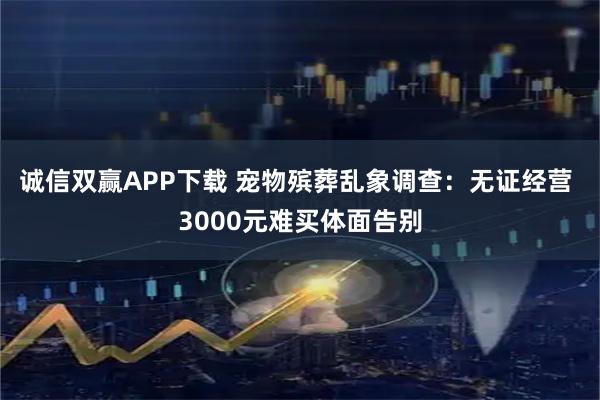 诚信双赢APP下载 宠物殡葬乱象调查：无证经营 3000元难买体面告别